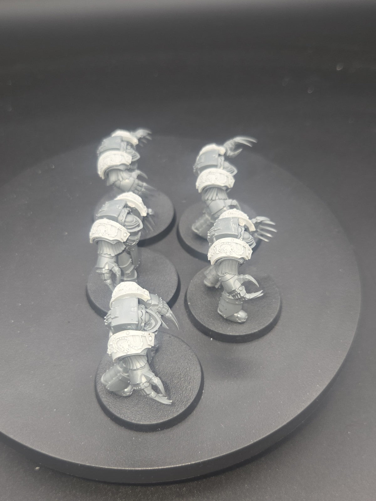 Cataphractii Terminators x5 with Forgeworld Alpha legion Shoulders3