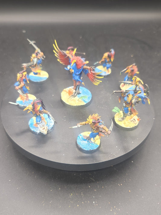 Slaves To Darkness Corvus Cabal Warcry Warhammer Tabletop Ready lot1