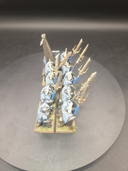 Warhammer Age Of Sigmar Slaves To Darkness Chaos Warriors x10  Well painted 3
