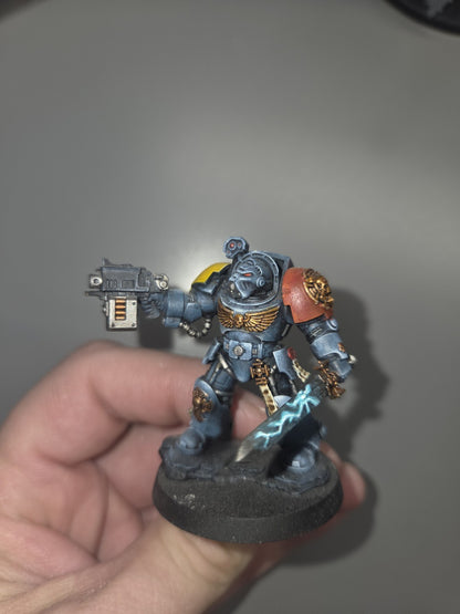 5x Space Wolves Terminators, very well Painted, 2
