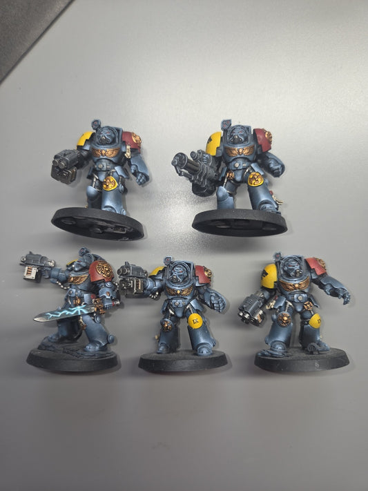 5x Space Wolves Terminators, very well Painted, 0