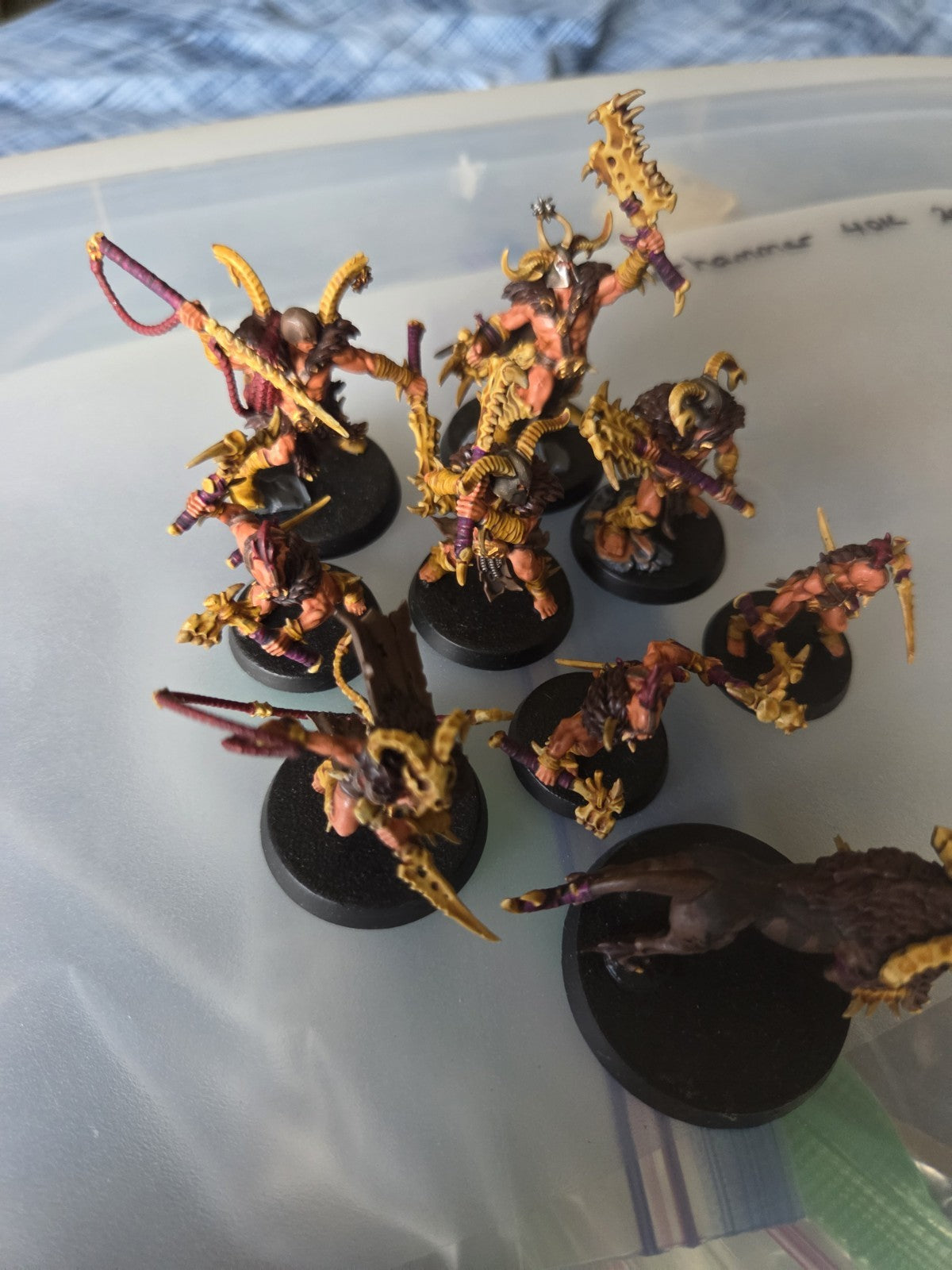 Warcry Untamed Beasts  Warhammer Age of Sigmar OOP Decently Painted2